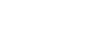 2_PlatinumGroupLogo